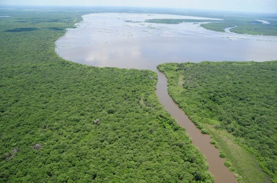 Sistema Lagunar de Alvarado